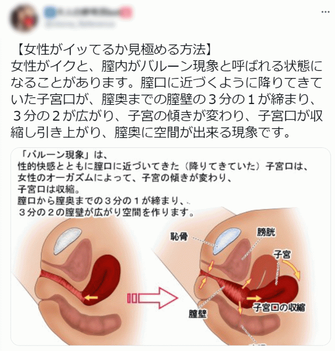 GIF】イク時に「ビクンッ」って痙攣するオンナ、すこｗ4 | 【エロネタ】変なニュース-アダルト版