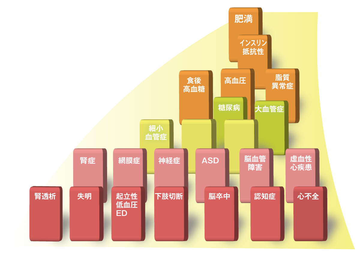 Domino | 自由が丘・奥沢