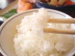 宿泊料金のページ セゾン イン たかとし