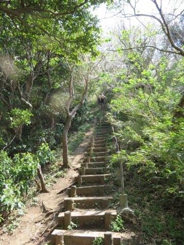 桜】根岸森林公園は広い芝生に座りゆっくりお花見が楽しめる場所（神奈川県横浜市）