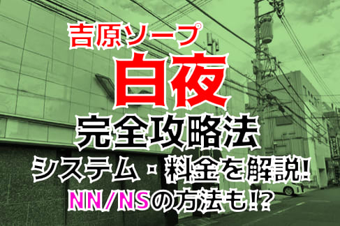 体験談】吉原のソープ「プリマドンナ」はNS/NN可？口コミや料金・おすすめ嬢を公開 | Mr.Jのエンタメブログ