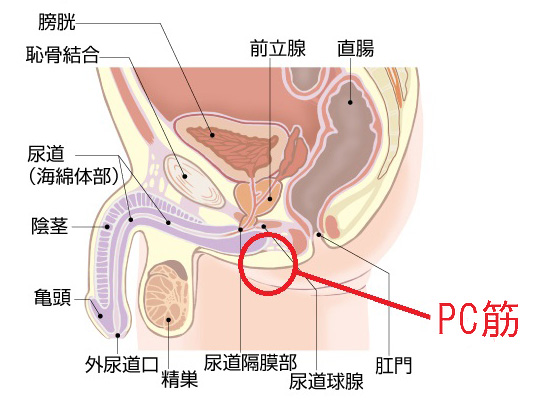 【女性向け 脳イキ】心を満たす至高の快楽体験【催眠音声】