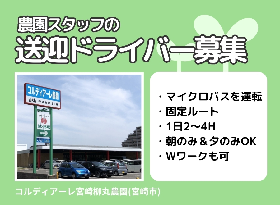 12月版】高齢者 派遣社員の求人・仕事・採用-宮崎県宮崎市｜スタンバイでお仕事探し