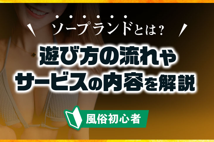 ソープランドの総額料金（相場）と男子スタッフの給与について | 俺風チャンネル