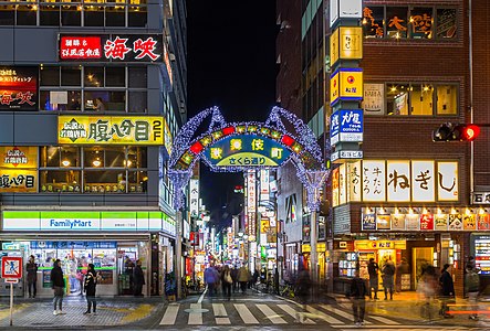 Geisha Neighborhoods and Kyoto's Red