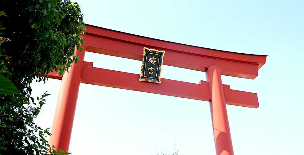 雨の日に行きたい京都｜そうだ 京都、行こう。