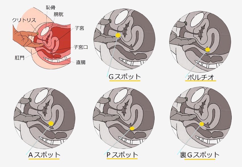 看護師が伝授！Gスポットの攻め方！ガシガシするのはNG！？ – メンズ形成外科 | 青山セレス&船橋中央クリニック