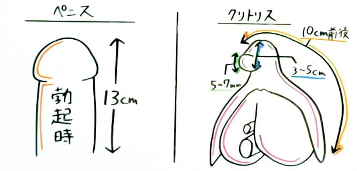 クリトリス包茎手術｜見た目・感度を改善！女性器整形「クリトリス包茎手術」の効果・経過・ダウンタイムとは｜美容整形・美容外科のTAクリニックグループ