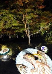 お客様のお宅からの帰り、雨がポツポツ 虹が出ました🌈 幸あれ〜🐾