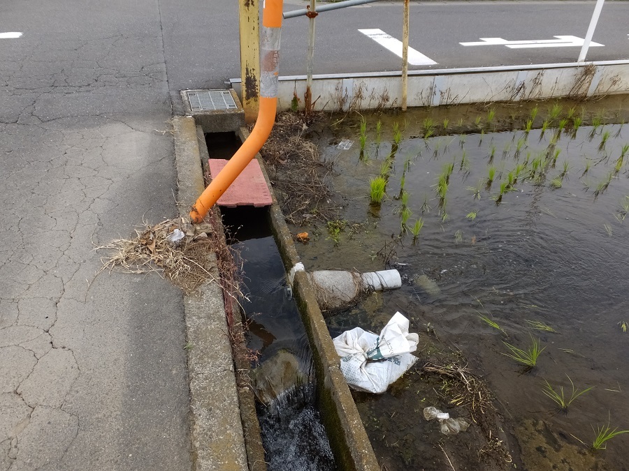 其の８３０ 田んぼの水はどこから・厚木市船子の用水路① |