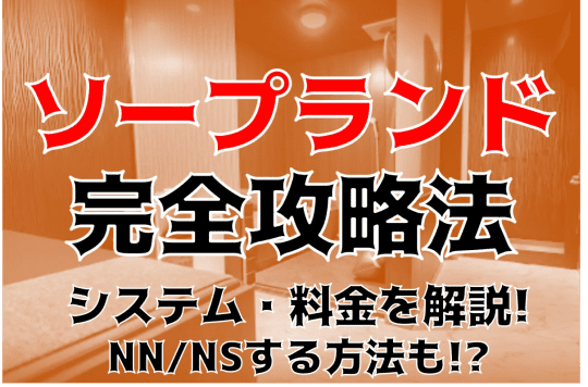 百花繚乱（ヒャッカリョウラン）［五反田 ピンサロ］｜風俗求人【バニラ】で高収入バイト