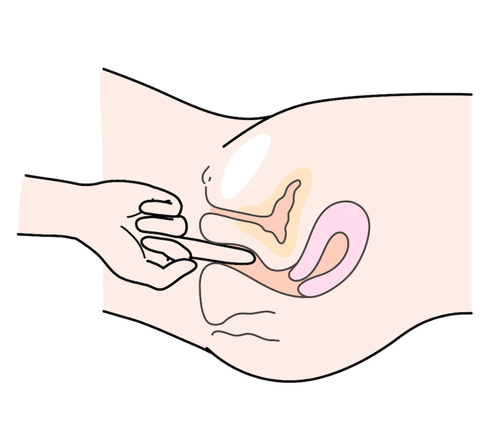 中イキを徹底解説『膣内性感帯マップと具体的な責め方』│【刺激LIFE】男性向けセックステクニック無料講座