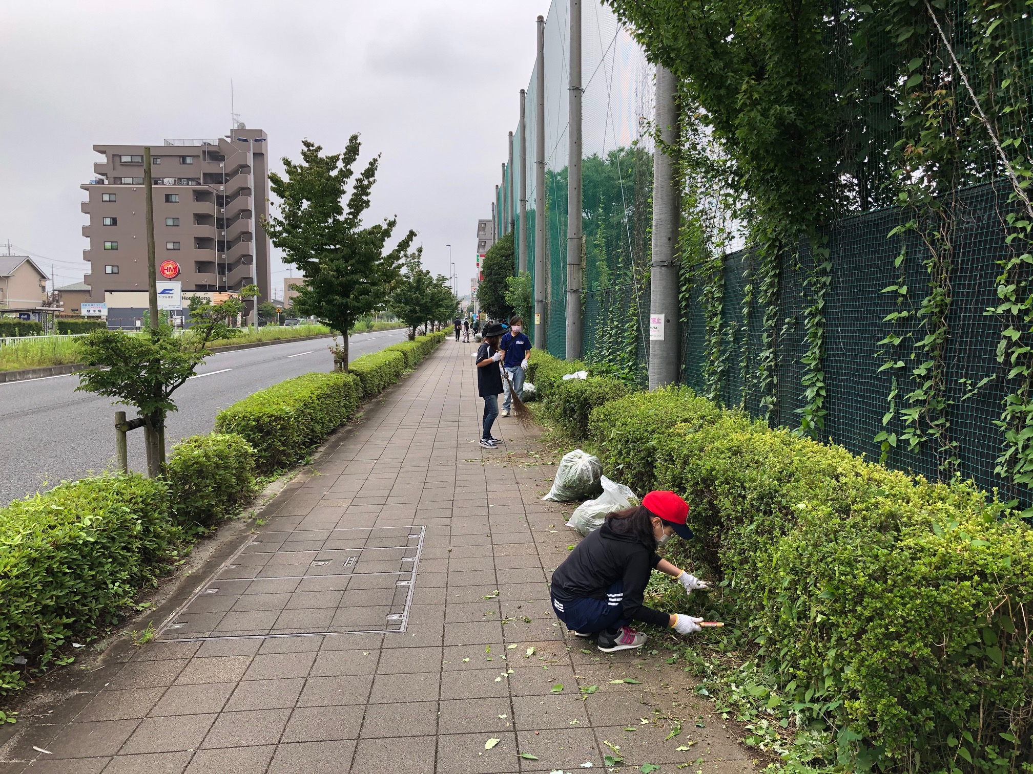 ASA南平の【小さな散歩道】