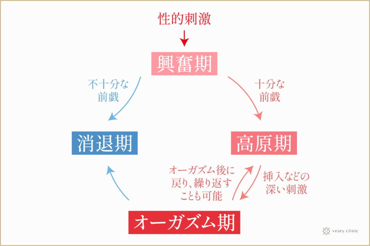 女性の潮吹きのやり方！コツと練習方法 - 夜の保健室