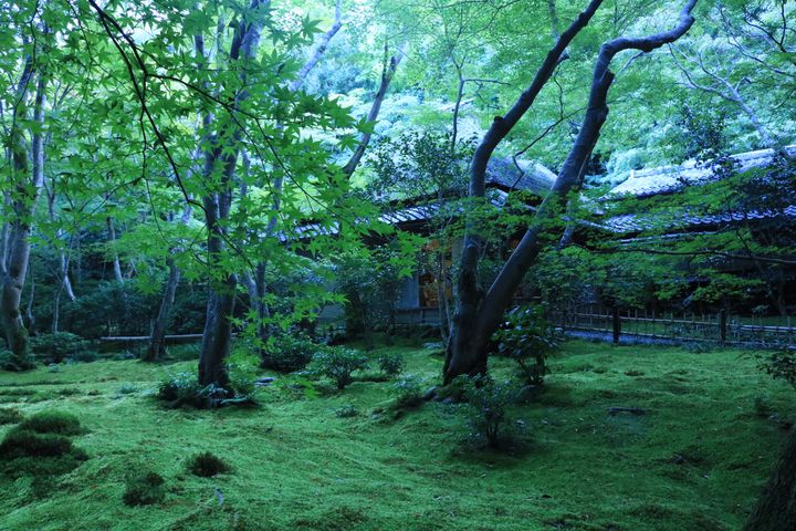 梅雨が狙い目！“雨の日にこそ行きたい”京都の絶景スポット7選 | RETRIP[リトリップ]