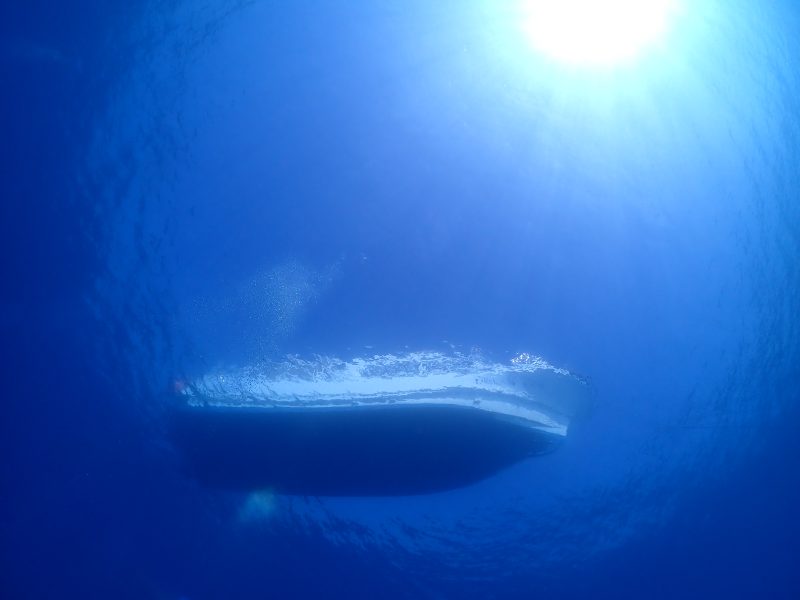 竿爆曲がり！体重５０ｋｇの男を海に引きずり込む魚の正体は！？【宮古島VS石垣島 2024 #2】