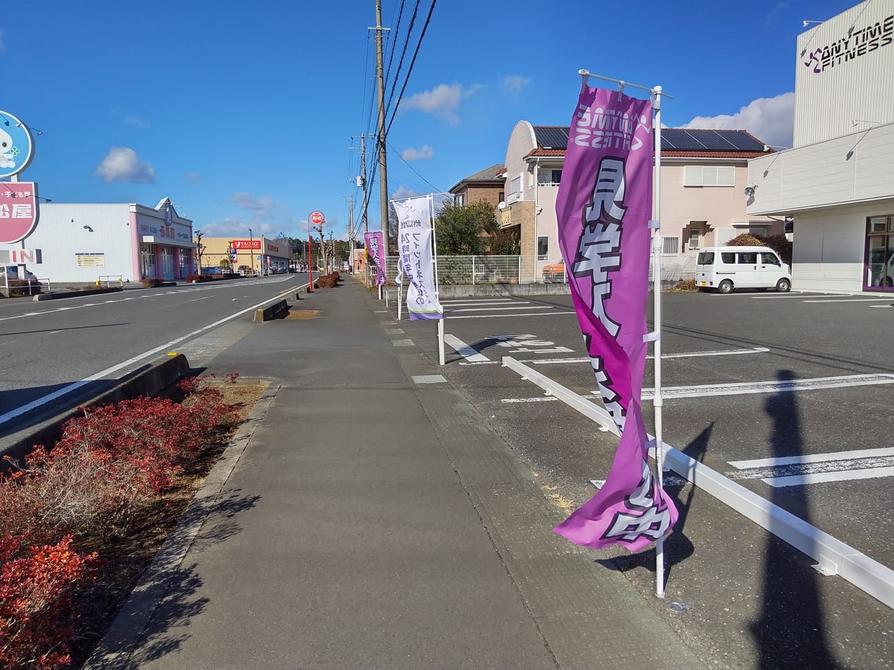 埼玉県東松山市葛袋、中新統の岩石穿孔性二枚貝類の穿孔痕・東松山市化石と自然の体験館