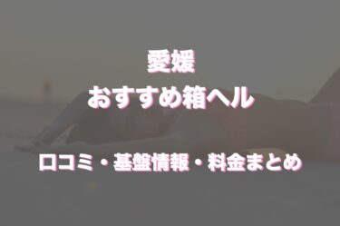 徳島で本番ができる風俗（デリヘル・ホテヘル）8選！料金プランや利用体験談から本番ができたお店を調査 - 風俗本番指南書