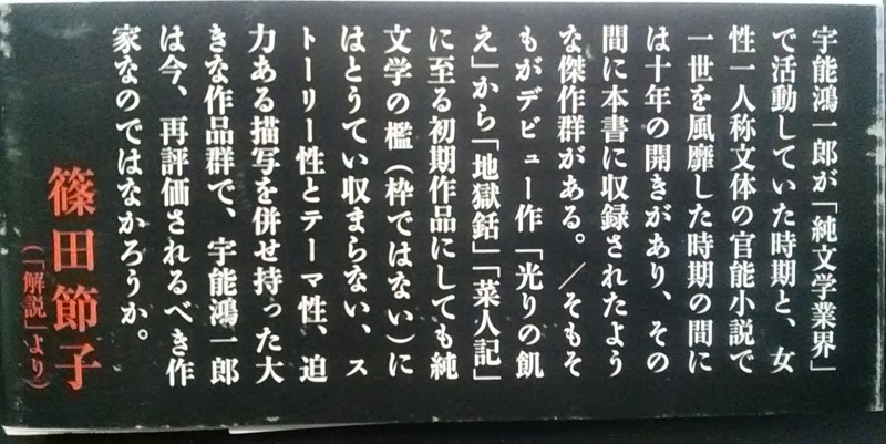 クリ責め名前変換小説サイト眠りにつく前に - 官能