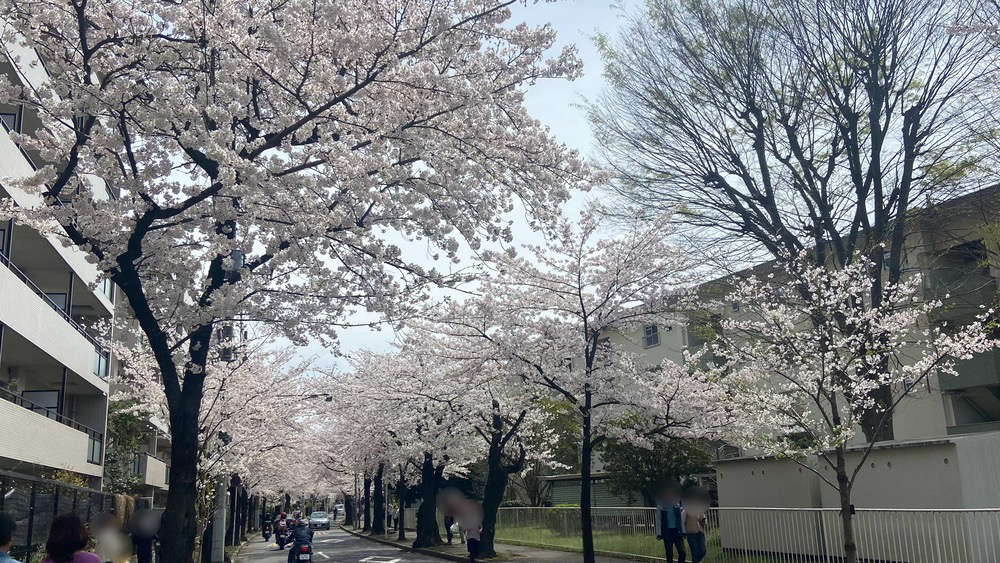 常盤平駅前整骨院