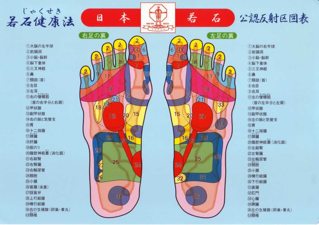 リフレクソロジーと足つぼマッサージの違いとは？ | THERAPHILIA