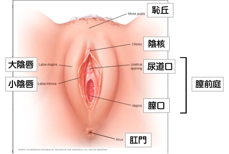 いまこそ、大人の性教育。【Lesson #8】『もしかして緩い…？』実際にクリニックへ行ってみた。 |