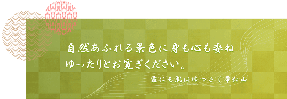 ほっけ 肉厚縞ほっけ 500gx1枚 北海道 ほっけ