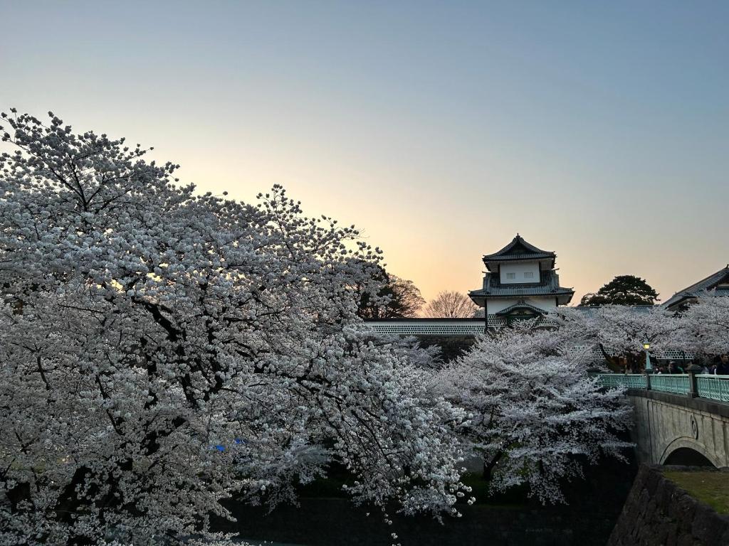 Regina Kanazawa (レジナカナザワ)｜石川県